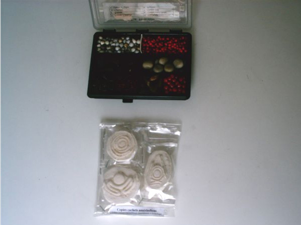 Graines et tampons pour peinture corporelle