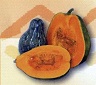Image Alt Text