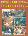 Image Alt Text