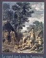Image Alt Text