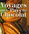 Image Alt Text